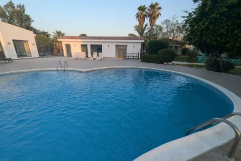 1312x894