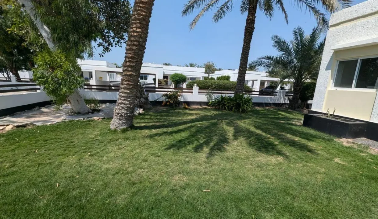 52354836 - Property Image 8