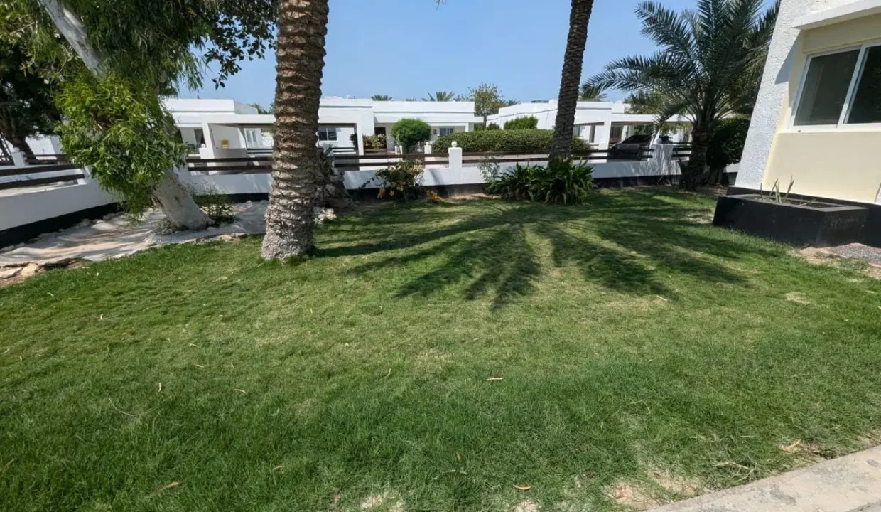 52354836 - Property Image 9