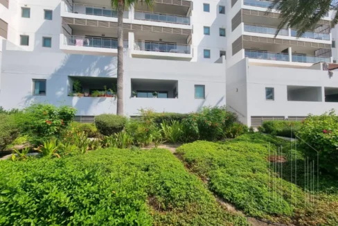 57995044 - Property Image 15