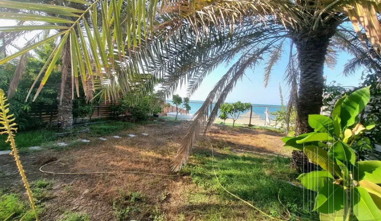 58203184 - Property Image 10
