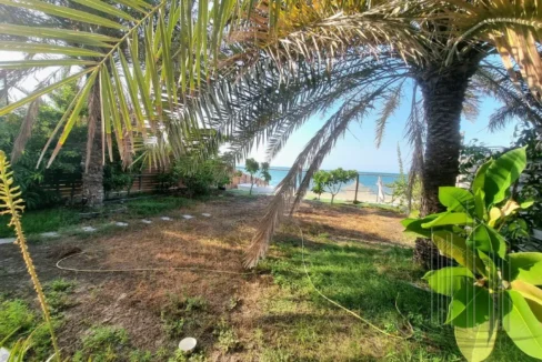 58203184 - Property Image 10