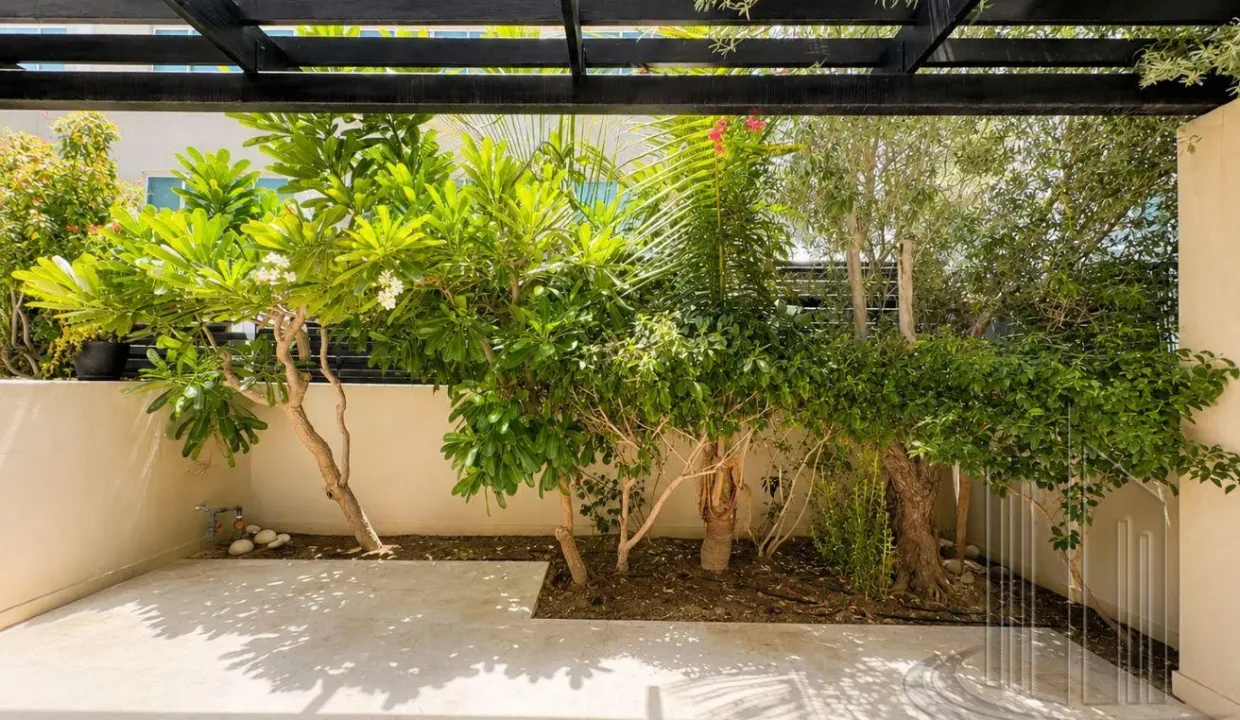 58293759 - Property Image 5